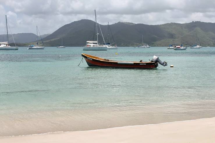 Sainte-Anne beach - Martinique © Jennifer Lecardez