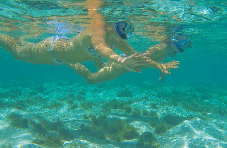 Snorkelling in Martinique © Droits reservés