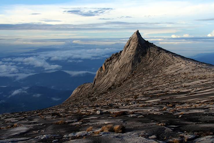 Kinabalu Park - Malaysia © Droits reservés