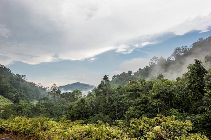 Mountains and forest - Malysia © ihab/Getty Images/iStockphoto