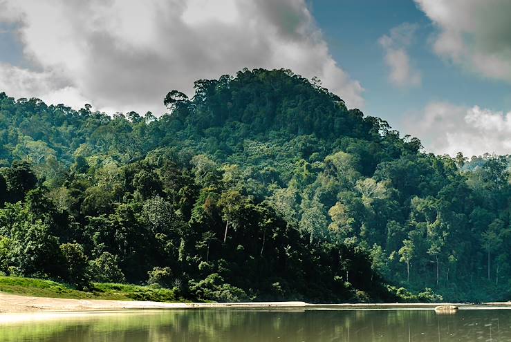 Forest and Lake - Malaysia © ahau1969/Getty Images/iStockphoto