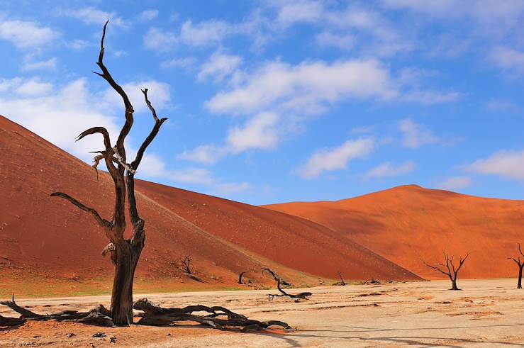 Sossusvlei - Namibia © Droits reservés