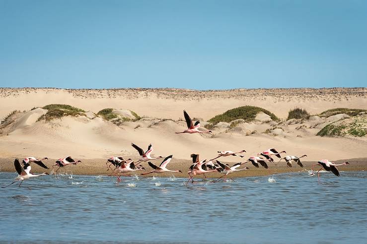 Birds flying over  river - Namibia © Dana Allen/Hoanib Skeleton Coast/Wilderness Safaris