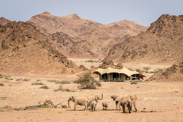 Elephants near Hoanib Skeleton Coast - Namibie © Dana Allen/Hoanib Skeleton Coast/Wilderness Safaris