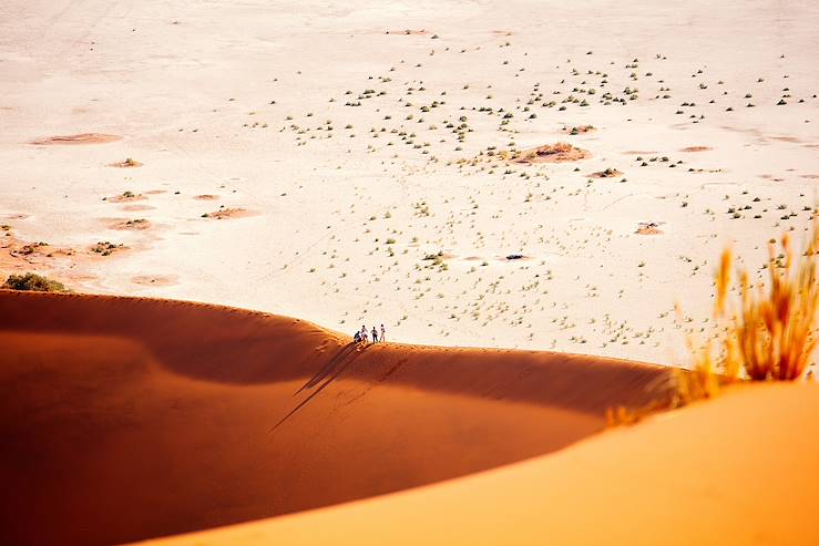 Desert in Namibia © Droits reservés