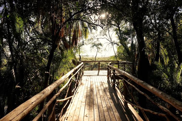 Birdge in the jungle - Namibia © Droits reservés