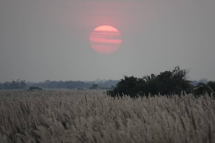 Sunset - South Africa © Droits reservés