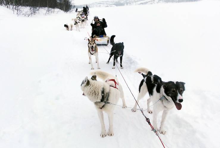 Huskies - Kirkenes - Norway © Droits reservés