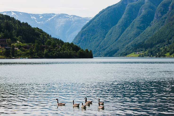 Ulvik - Norway © zingiber/Fotolia