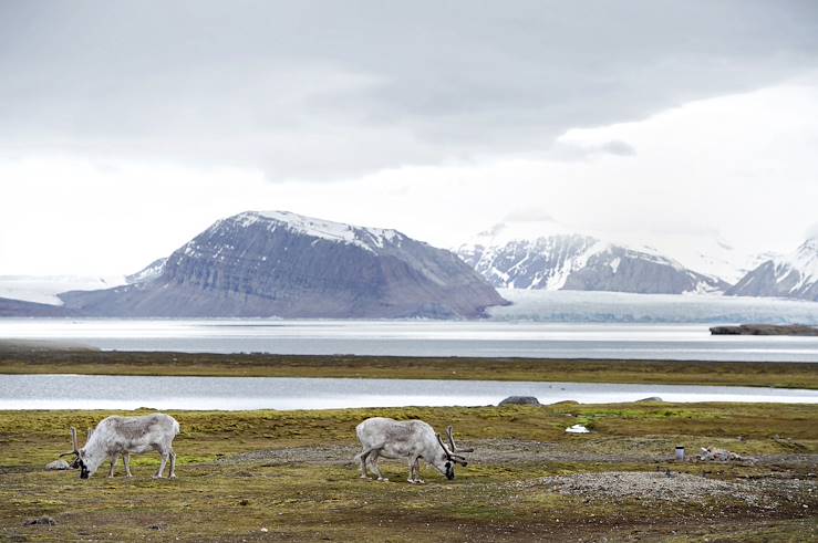 Spitzberg - Svalbard Archipelago - Norway © Planet Pix/Zuma-Rea