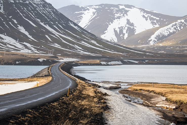 Road of Norway during Winter © Bensekpong/Getty Images/iStockphoto