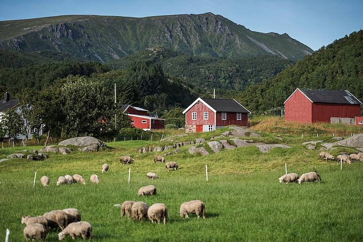 Farm - Vesteralen - Norway © Benjamin A.Ward / Visitnorway.com