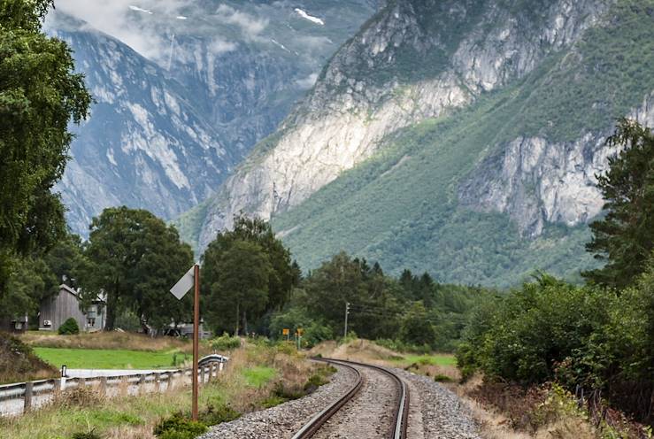 Train - Norway © Lukasz Janyst - stock.adobe.com