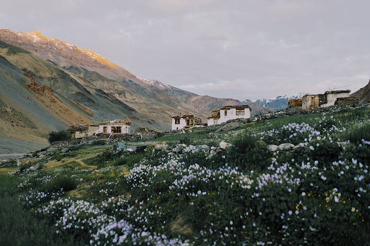 Himalayas © Julia Volk/Stocksy