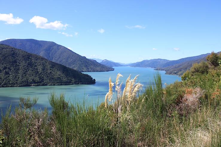 Marlborough Sounds - New Zealand © OUAT