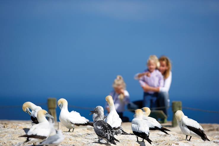 Cape Kidnappers - New Zealand © Chris McLennan / Tourism New Zealand images Library OT