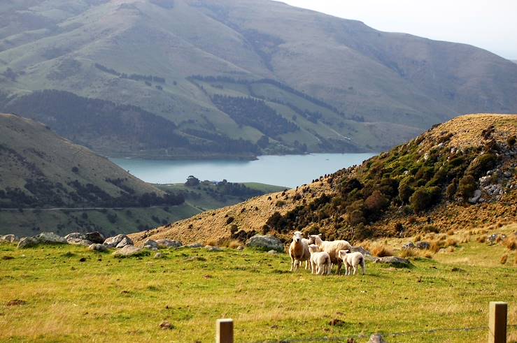 Akaroa - South Island - New Zealand © dane-mo/Getty Images/iStockphoto