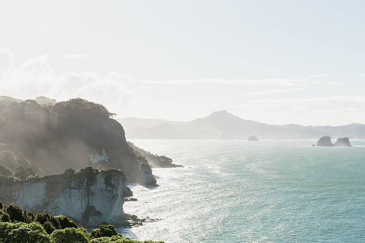 Seascape - New Zealand © naiveangelde/stock.adobe.com