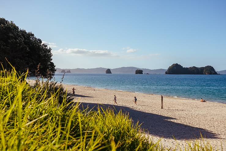 Beach in New Zealand © Droits reservés