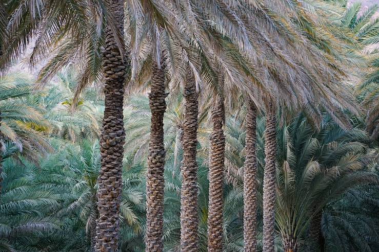 Birkat Al Mouz - Oman © François Gagner 