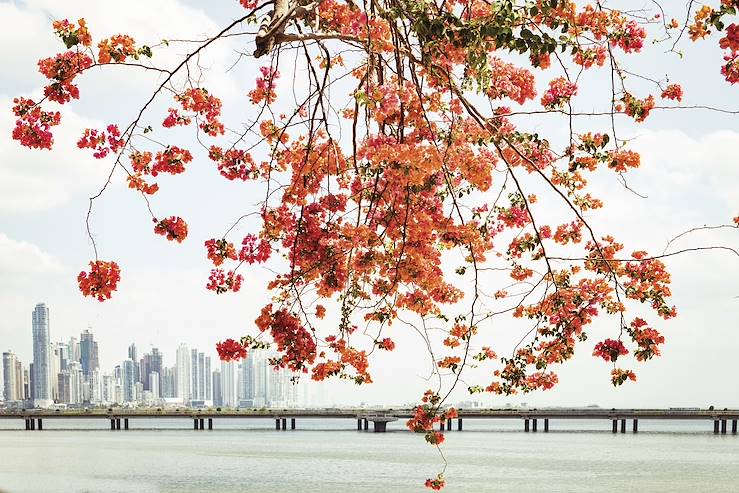 Panama City - Panama © Gabriela Herman / Gallery Stock