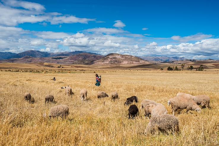 Cusco Region - Peru © Franck Camhi / snaptitude / Fotolia