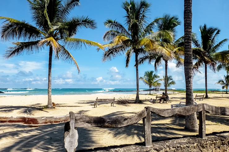 Palm trees and beach - Peru © Getty Images/iStockphoto