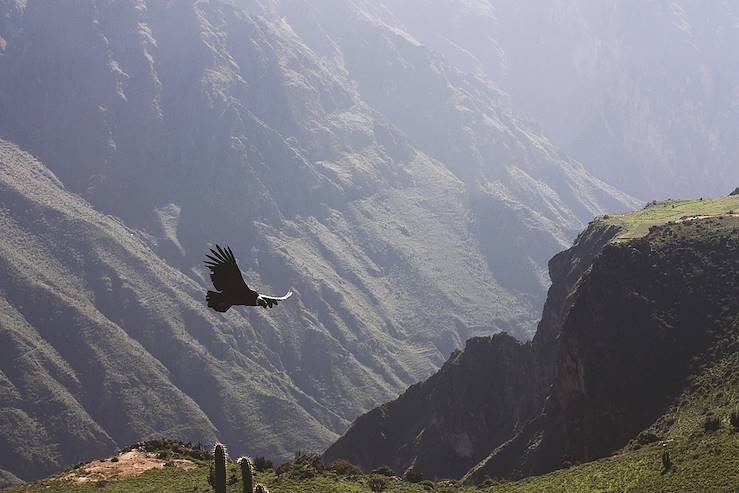 Peru © Tenenbaum/stock.adobe.com