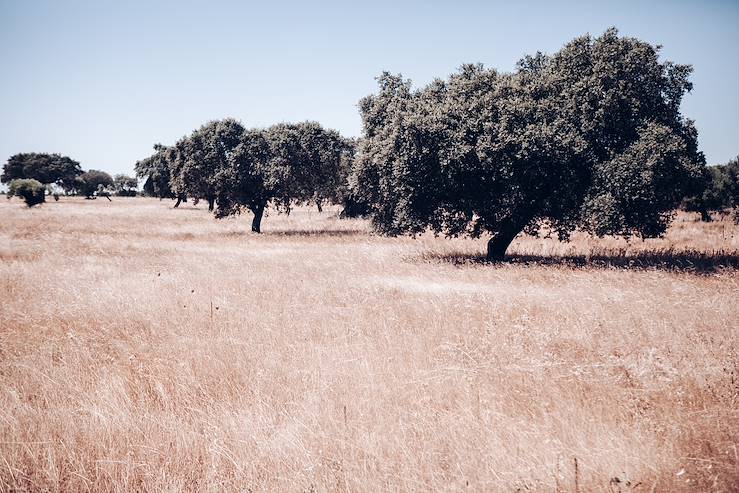 Alentejo - Portugal © Olivier Romano 