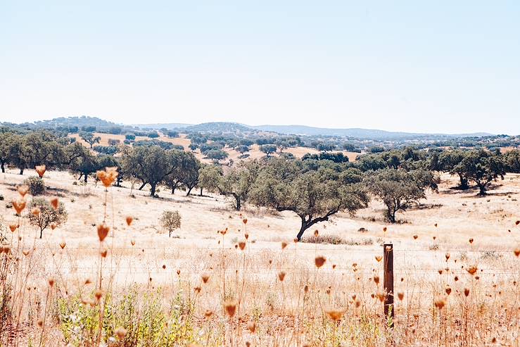 Alentejo - Portugal © Olivier Romano 