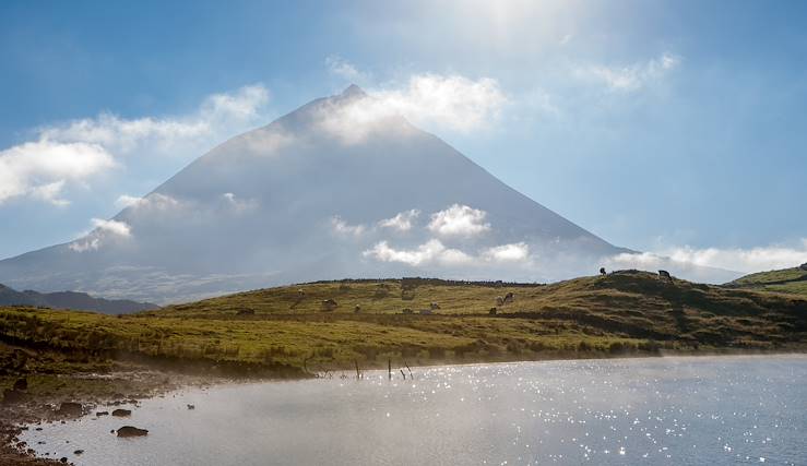 Pico Island - Azores - Portugal © Droits reservés