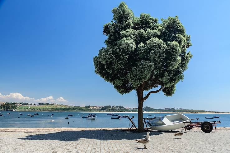 Porto - Portugal © samael334/Getty Images/iStockphoto