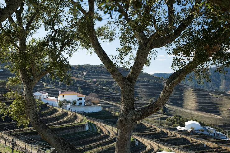 Winelands - Portugal © Jean-Francois Jaussaud/Quinta da Côrte