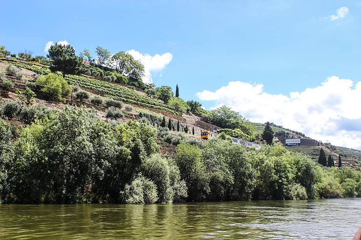 Douro Valley - Northern Region - Portugal © Marine Berlouin et Claire Monfefoul