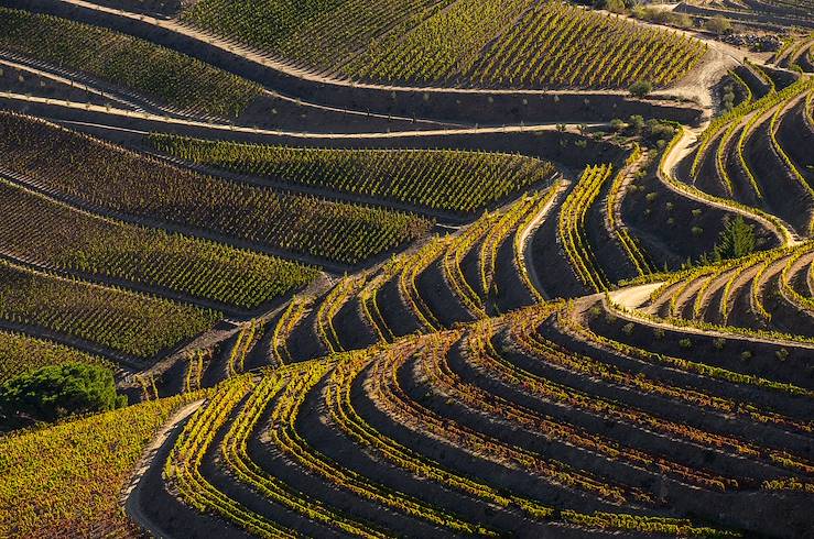 Douro, Portugal © Bruno Ismael Alves/stock.adobe.com