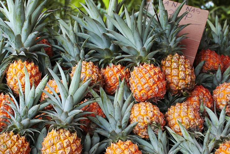 Pineapples - Réunion © Julie Saint-Bonnet