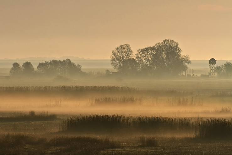 Danube Delta - Romania © porojnicu/Getty Images/iStockphoto