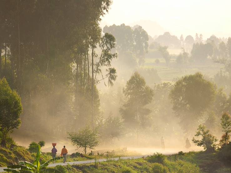 Nyungwe - Rwanda © Philip Lee Harvey/Nyungwe Forest Lodge