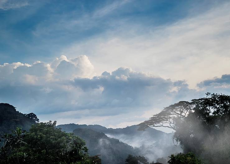 Landscape - Rwanda © Droits reservés