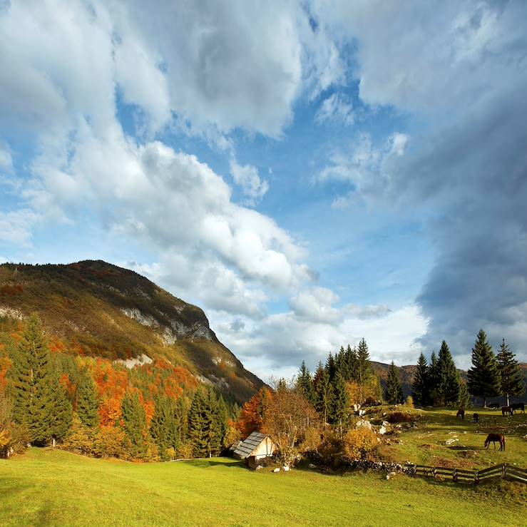 Countryside - Slovenia © Droits reservés