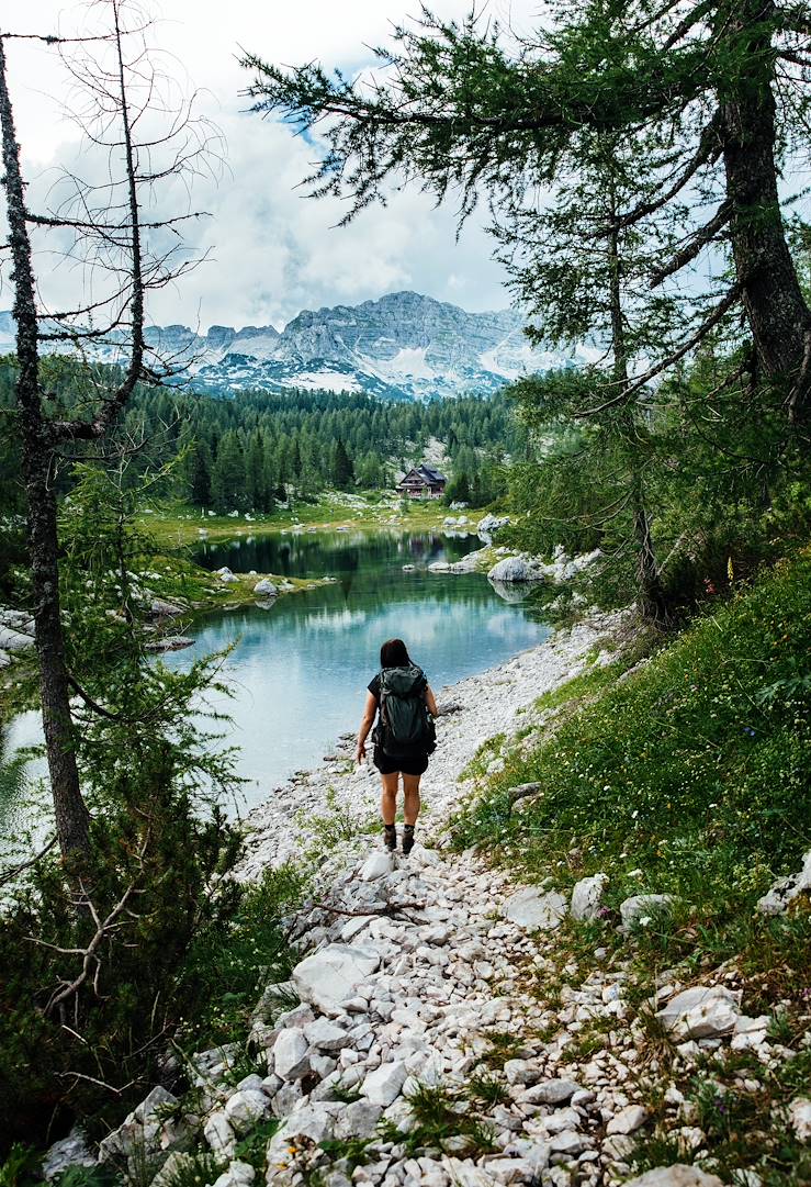 Hiking in slovenian forest - Slovenia © Droits reservés