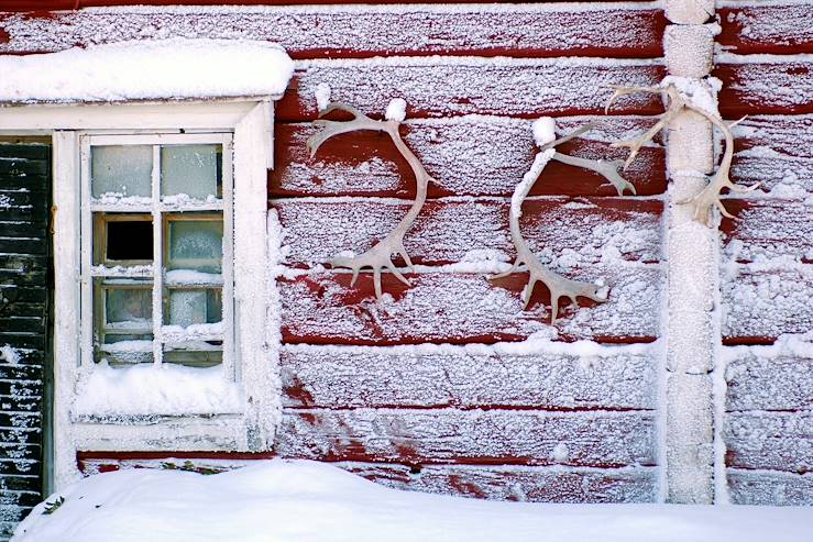 Reindeers Farm - Sweden © Visitfinland