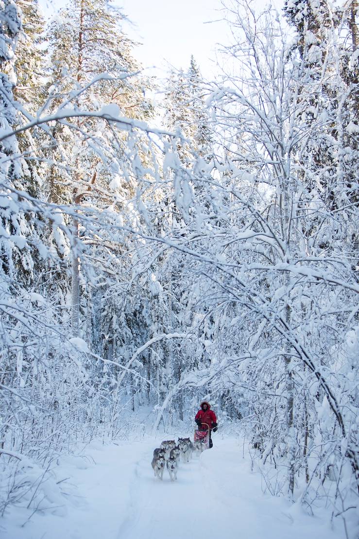 Dog sledding - Sweden © Droits reservés