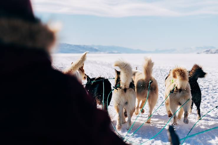 Dog sledding - Sweden © Droits reservés