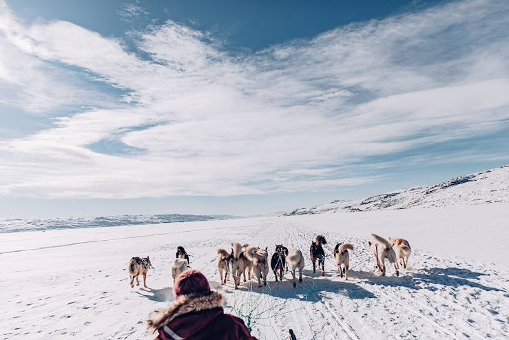 Dog sledding - Sweden © Droits reservés