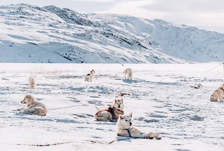 Dog sledding near Kangerlussuaq - Groenland © Olivier Romano