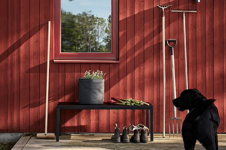 Dog in front a house - Sweden © Patrik Svedberg/imagebank.sweden.se