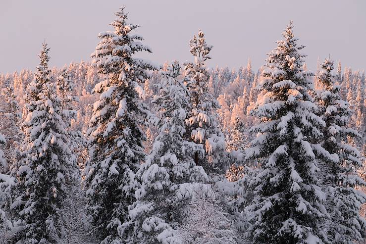 Loggers Lodge - Harads - Sweden © Droits reservés