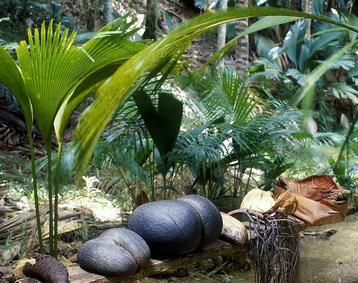 May Valley - Praslin - Seychelles © Richard Semik/PHB.cz/Fotolia