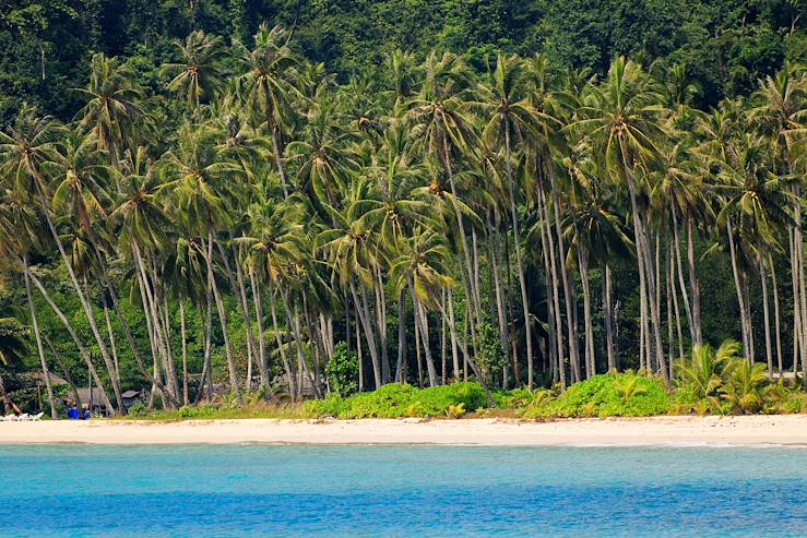 Palm trees and beach - Thailand © Stephane Bidouze/Fotolia